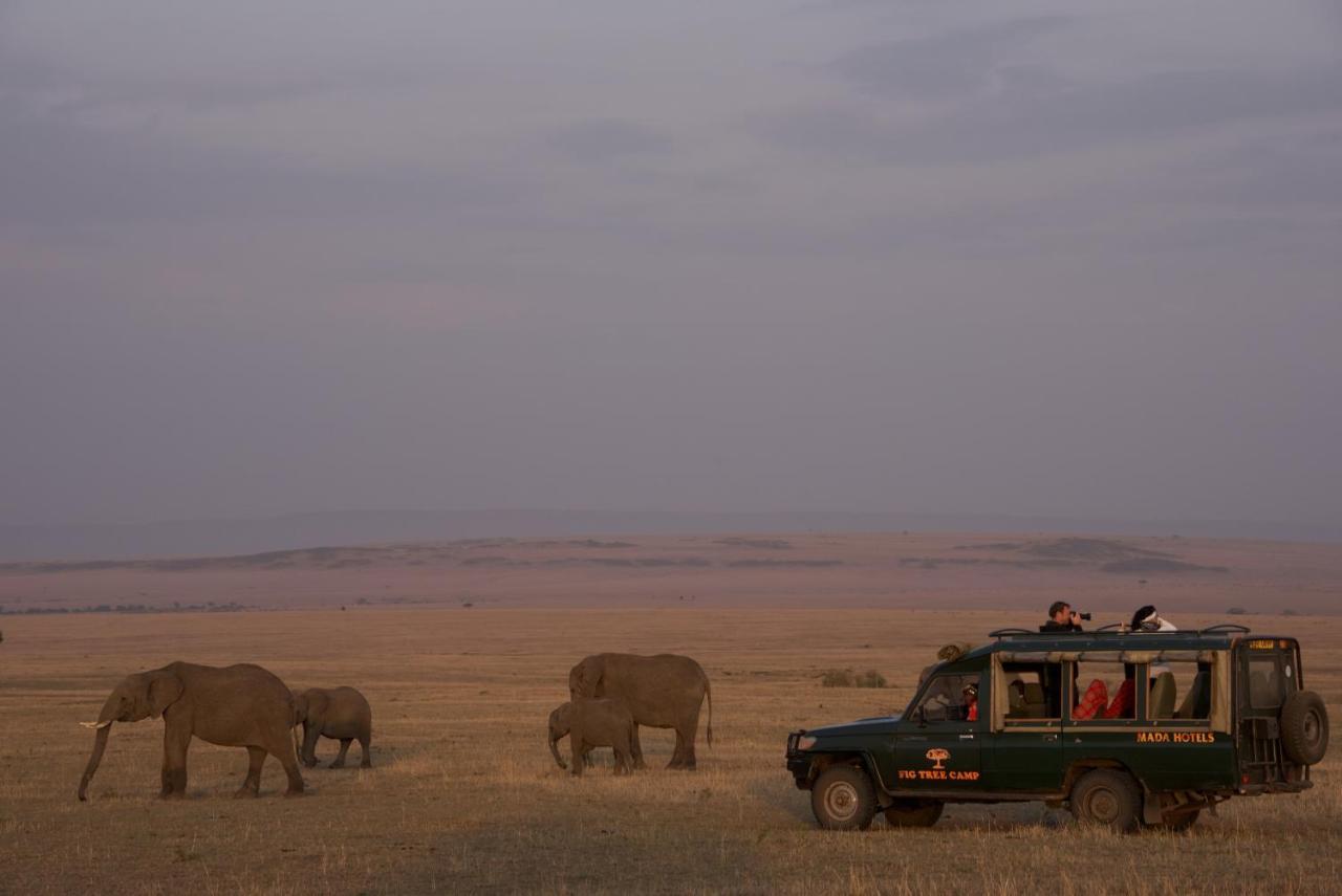 Fig Tree Camp - Maasai Mara 호텔 Talek 외부 사진
