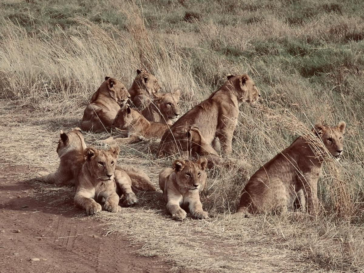 Fig Tree Camp - Maasai Mara 호텔 Talek 외부 사진