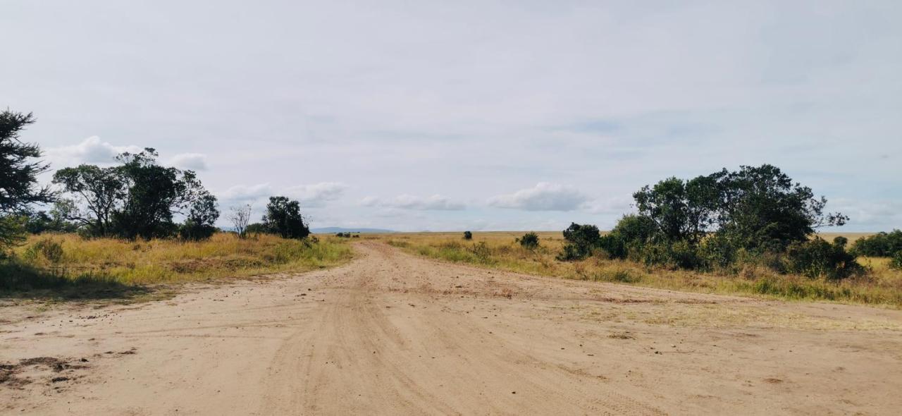 Fig Tree Camp - Maasai Mara 호텔 Talek 외부 사진