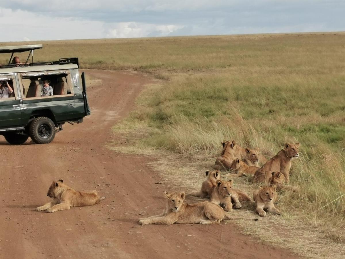 Fig Tree Camp - Maasai Mara 호텔 Talek 외부 사진