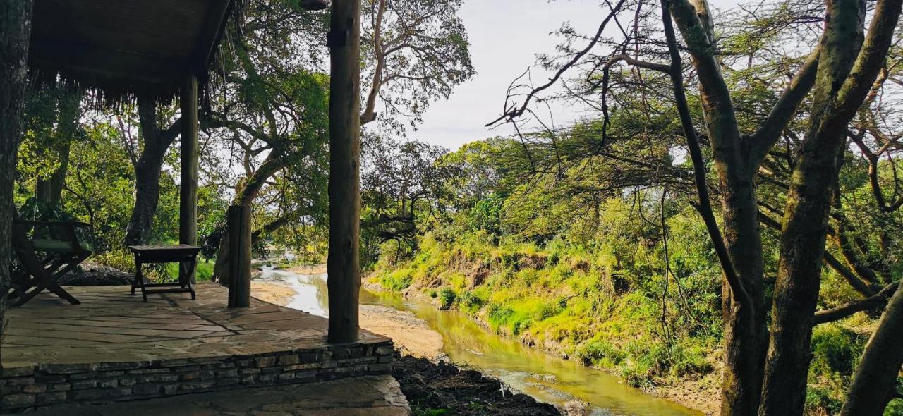 Fig Tree Camp - Maasai Mara 호텔 Talek 외부 사진